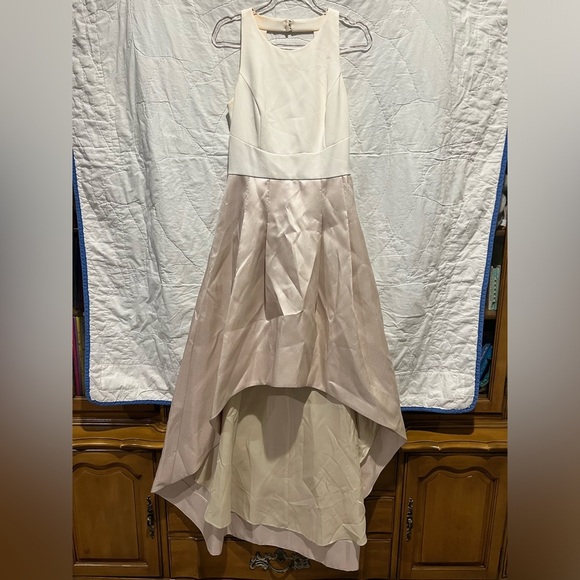 Eliza J High/Low Gown (size 4) - Picture 3 of 16
